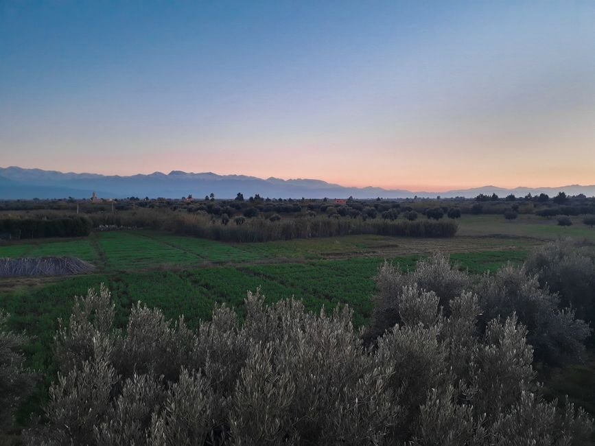 Property for Sale Marrakech: Complete Guide to Buying Real Estate in Marrakech